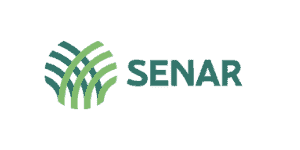 Senar